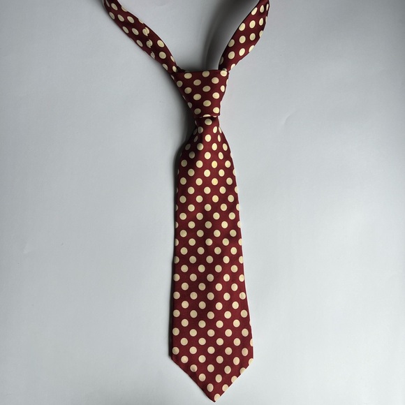 Pierre Clarence Polkadot Tie - Picture 2 of 4